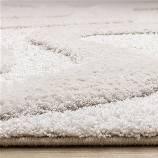 Rug Branch Intrigue Area Rug Organic Modern 8 x 11-ft - White