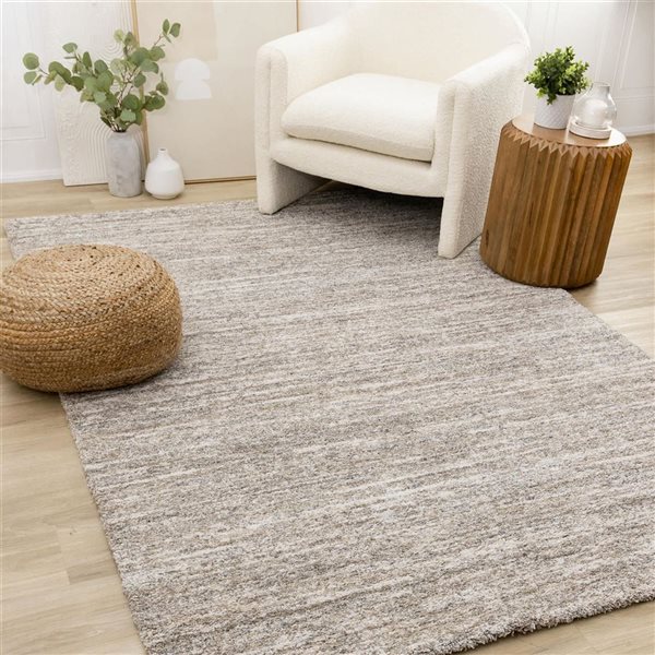 Rug Branch Botaniq Area Rug Distressed Modern 8 x 11-ft - Grey