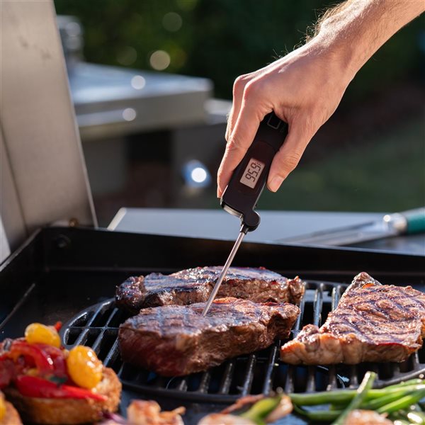 Charbroil Digital Meat Thermometer for Barbecue