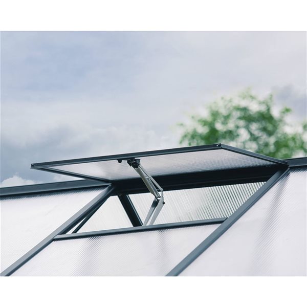 Canopia by Palram Aria Crystal Clear Greenhouse 10 x 20-ft