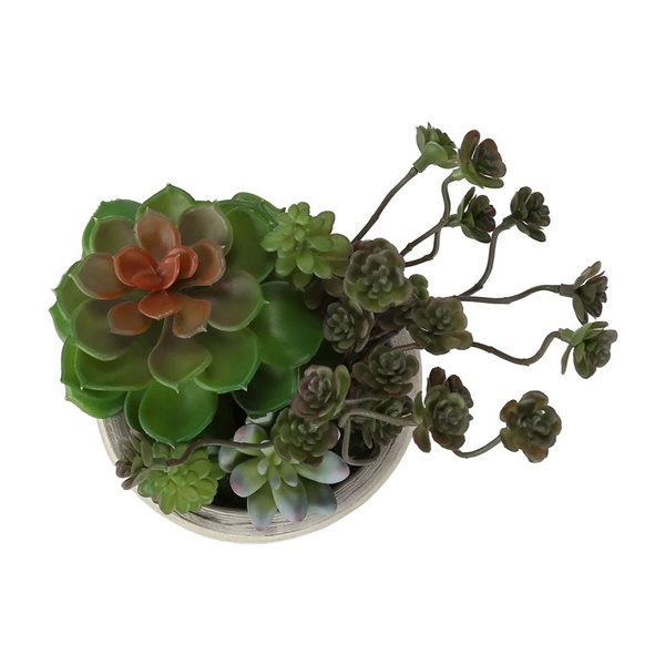 Set of 2 Monarch Specialties Artificial Plants 9-in Tall w/ Beige Cement Pots - Succulent