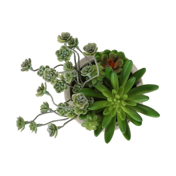 Set of 2 Monarch Specialties Artificial Plants 9-in Tall w/ Beige Cement Pots - Succulent