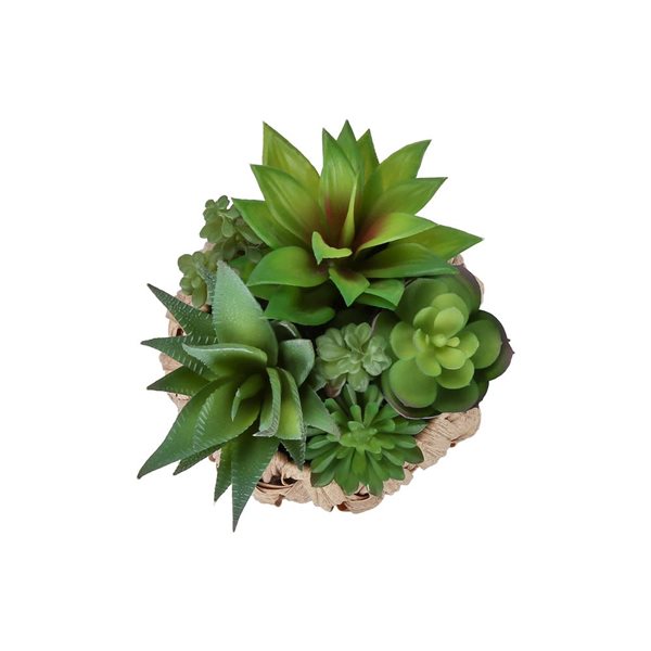 Set of 2 Monarch Specialties Artificial Plants 9-in Tall w/ Brown Woven Baskets - Succulent