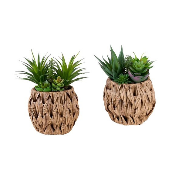 Set of 2 Monarch Specialties Artificial Plants 9-in Tall w/ Brown Woven Baskets - Succulent