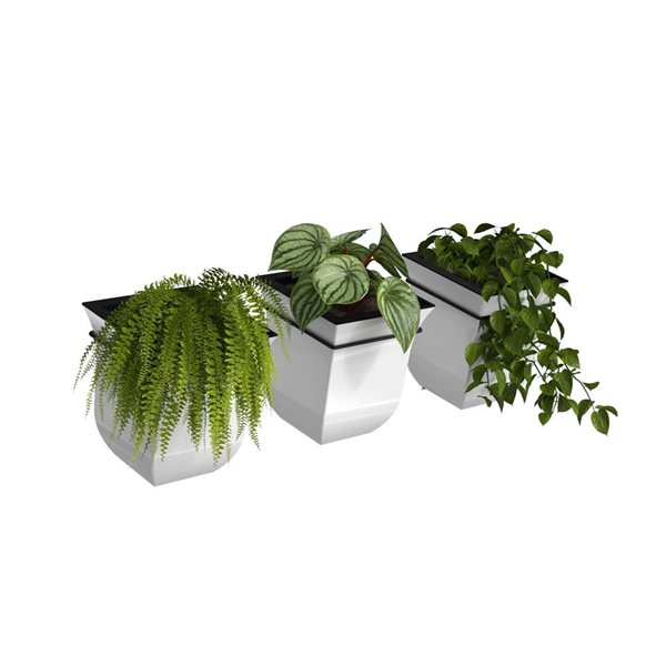 Mayne Valencia Self-Watering Wall Mount Planter Polypropylene 7 W x 8-in H - White - 3-Pack