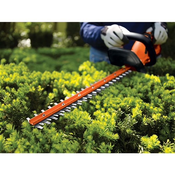 BLACK+DECKER Cordless Electric Hedge Trimmer 20 V - 22-in
