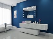 Mirror with LED Lighting - 48