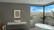 Mirror with LED Lighting - 20